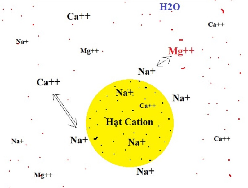 Phân loại các loại cation